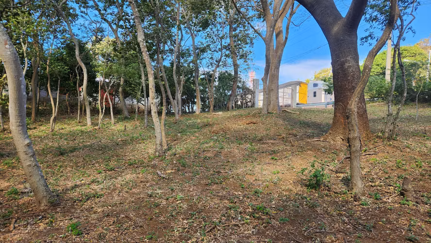 Lote en venta en el km 17 de la Carretera Vieja a León. - Imagen 3