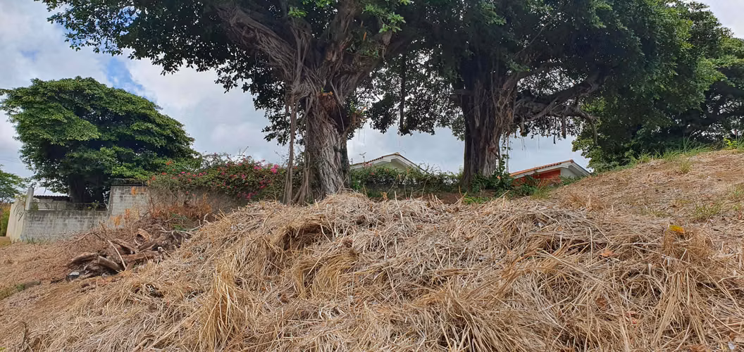  Lote en Venta en Residencial Altos de Ticomo 