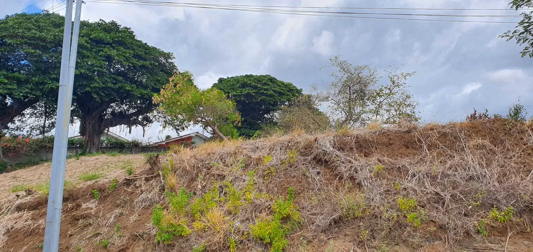  Lote en Venta en Residencial Altos de Ticomo 