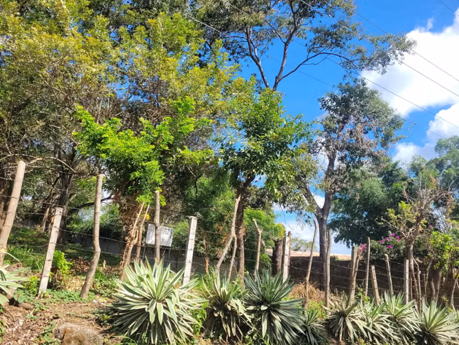  Terreno en Altos de Santo Domingo  - Imagen 3