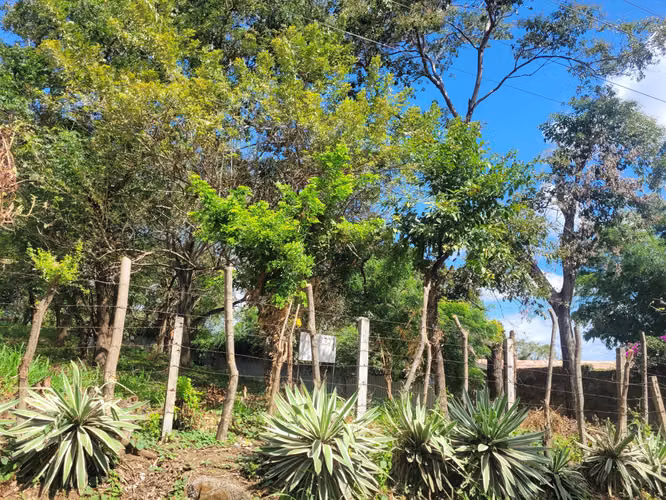  Terreno en Altos de Santo Domingo  - Imagen 2