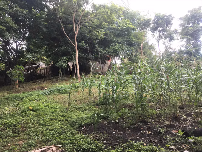 Terreno en Venta en Loma Linda