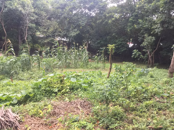 Terreno en Venta en Loma Linda