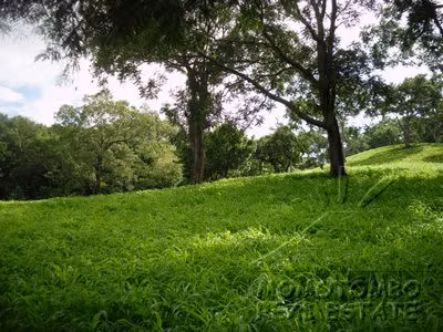 Terreno en Venta en Km 14 Carretera Sur