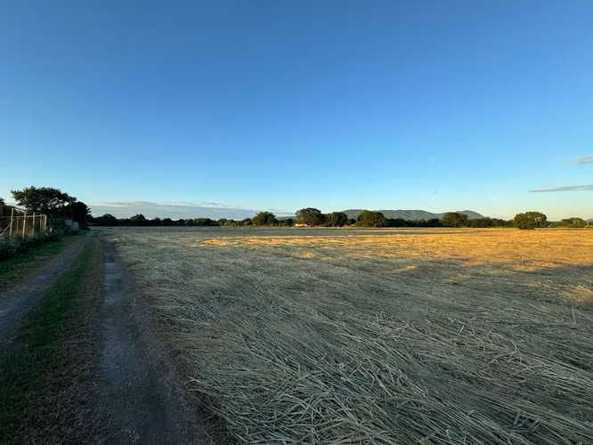 Terreno en Venta – 15 Manzanas a 400 metros de la Carretera Nueva a León