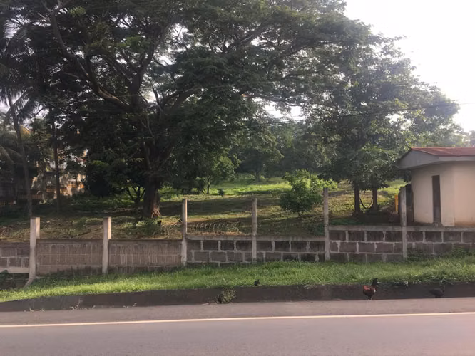 Terreno km 25 carretera a masaya a la orilla de la carretera - Imagen 15