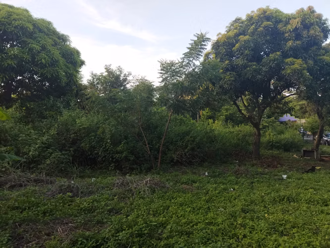 Terreno km 25 carretera a masaya a la orilla de la carretera - Imagen 8