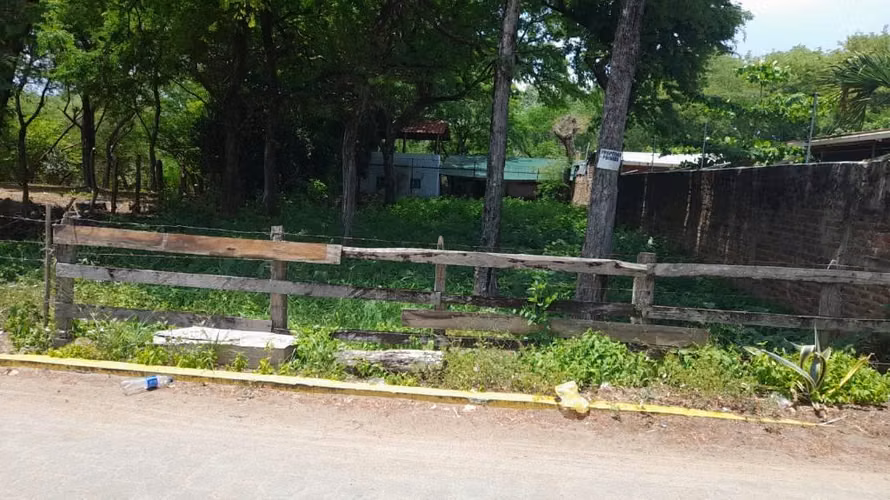 Terreno