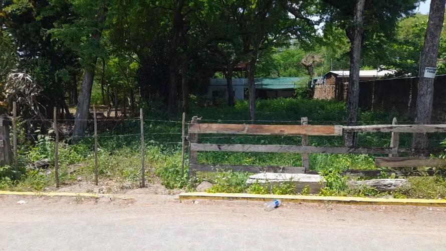 Terreno