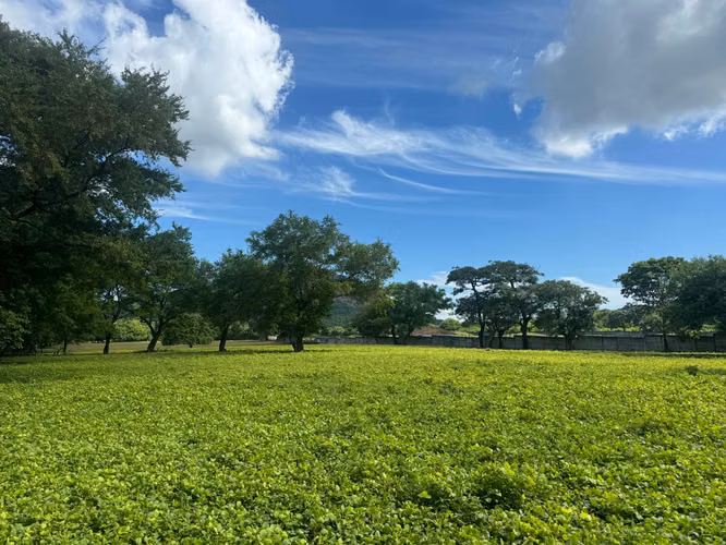 Magnífico Terreno de 5 ½ Manzanas con Vistas al Cerro Motastepe!