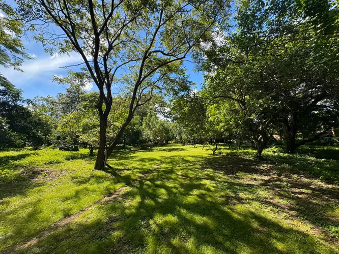Magnífico Terreno de 5 ½ Manzanas con Vistas al Cerro Motastepe!