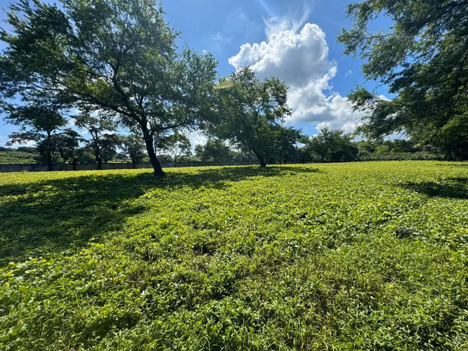 Magnífico Terreno de 5 ½ Manzanas con Vistas al Cerro Motastepe!
