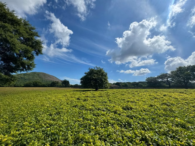 Magnífico Terreno de 5 ½ Manzanas con Vistas al Cerro Motastepe!