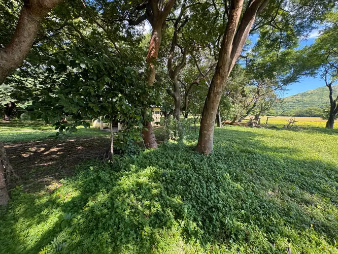 Magnífico Terreno de 5 ½ Manzanas con Vistas al Cerro Motastepe!