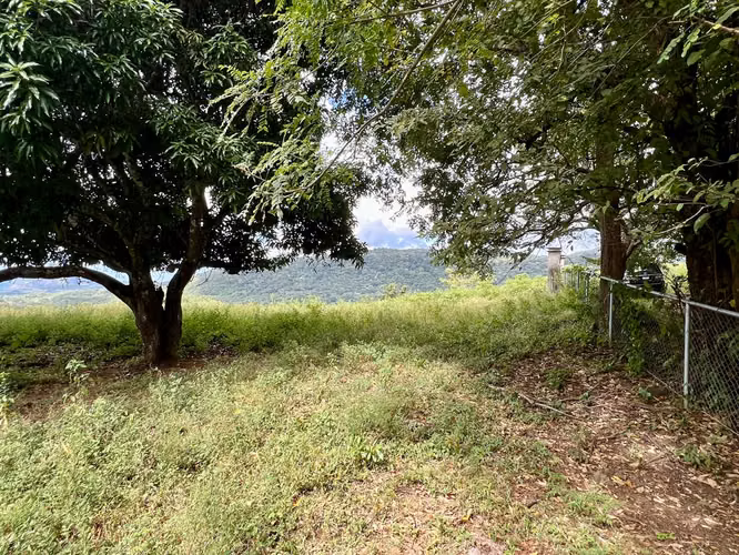 Vista del Oro Ocean-View Property: 1,100 m² Ready for Development
