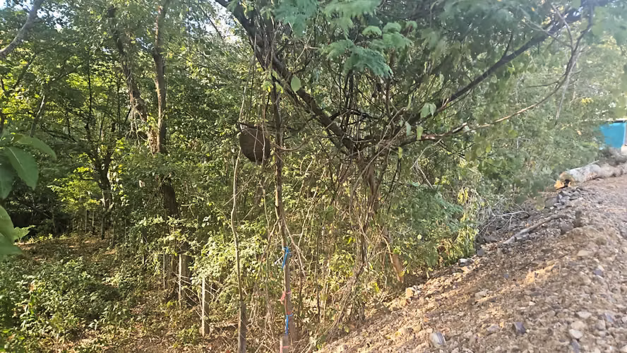 KC-Terreno en Venta Cerca de las Playas Marsella, Maderas y Majahual