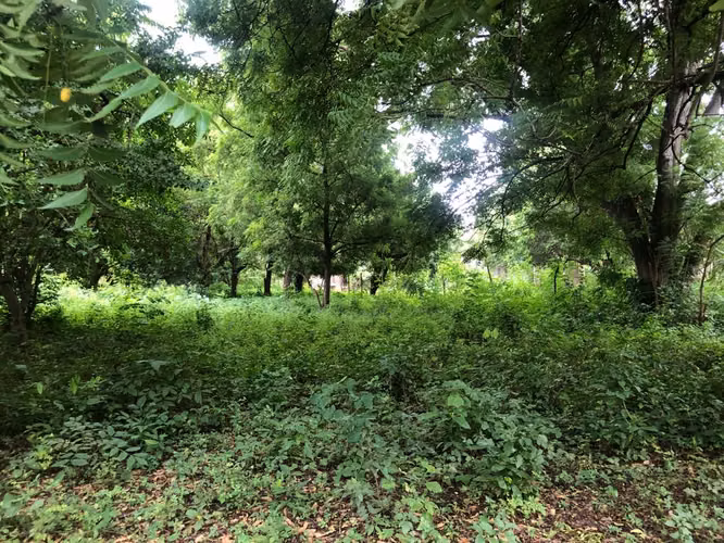 Terreno en Venta - Contiguo a Residencial Vista Hermosa II - Imagen 4