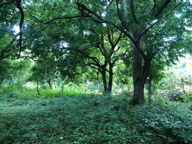 Terreno en Venta - Contiguo a Residencial Vista Hermosa II - Imagen 11