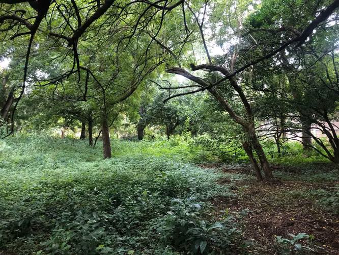 Terreno en Venta - Contiguo a Residencial Vista Hermosa II - Imagen 7