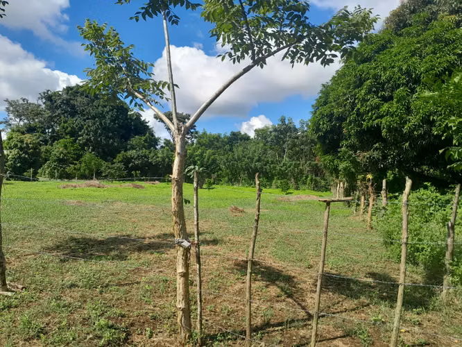 EN VENTA TERRENO EN NINDIRI