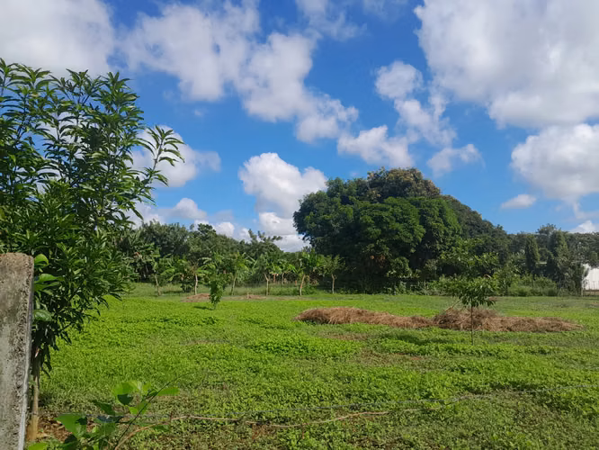 EN VENTA TERRENO EN NINDIRI