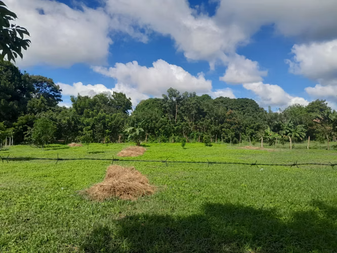 EN VENTA TERRENO EN NINDIRI