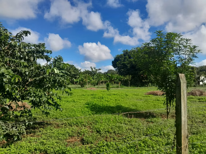 EN VENTA TERRENO EN NINDIRI