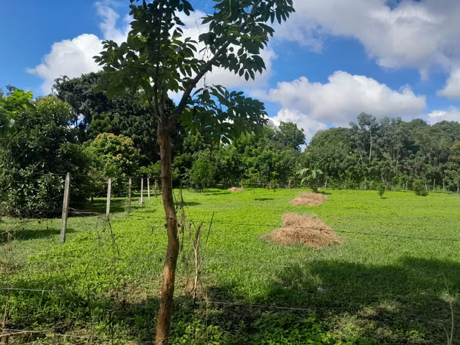 EN VENTA TERRENO EN NINDIRI
