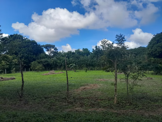EN VENTA TERRENO EN NINDIRI