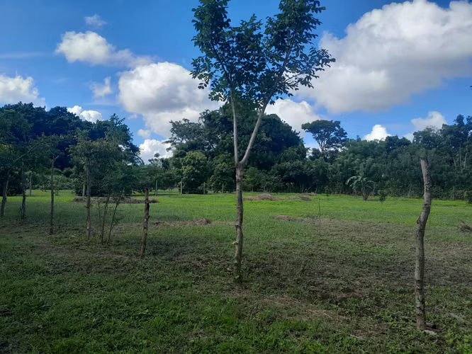 EN VENTA TERRENO EN NINDIRI