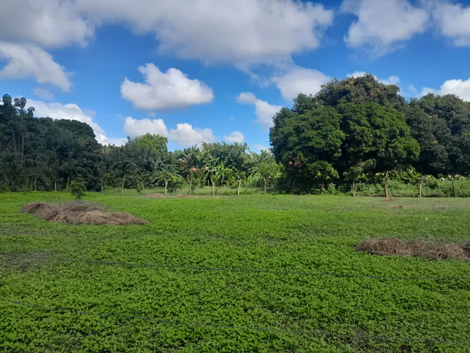 EN VENTA TERRENO EN NINDIRI