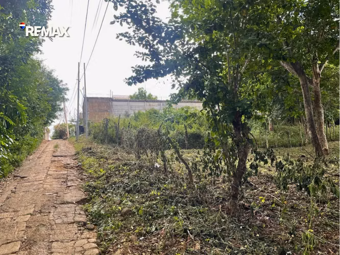 Lote en San Isidro de la Cruz Verde - Imagen 4