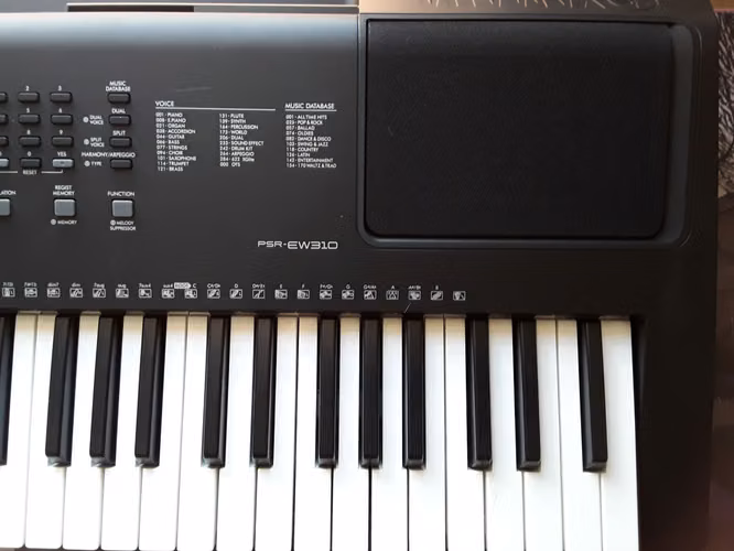 Piano Yamaha PSR-EW310