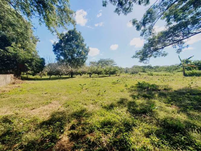 NO-Vendo terreno en Tisma km 38