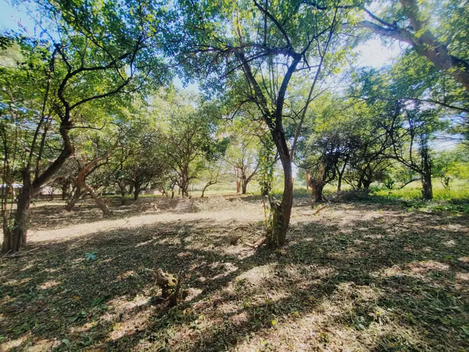 NO-Vendo terreno en Tisma km 38
