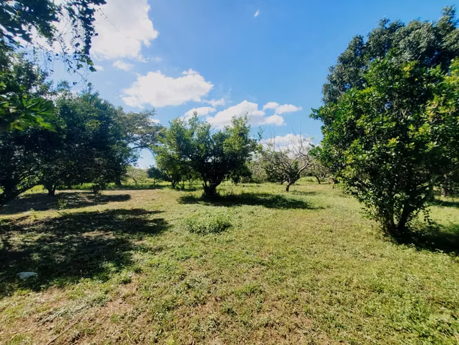 NO-Vendo terreno en Tisma km 38
