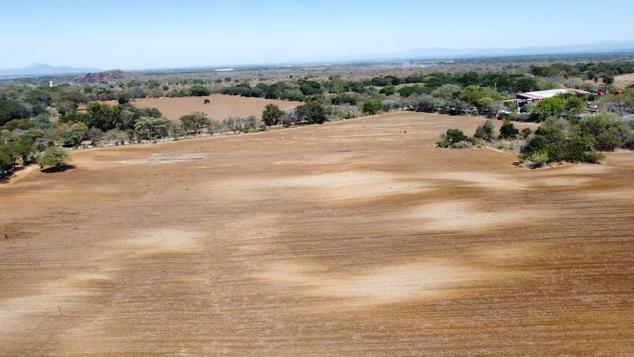 VENTA DE FINCA DE 67 MANZANAS CARRETERA NUEVA NINDIRI MANAGUA