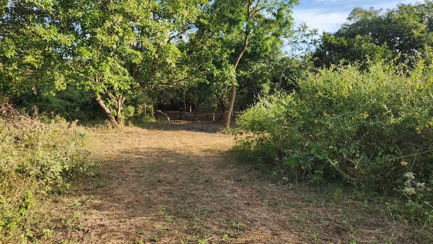  Amplio terreno en venta – Km 12.5 Carretera a Masaya - Imagen 4