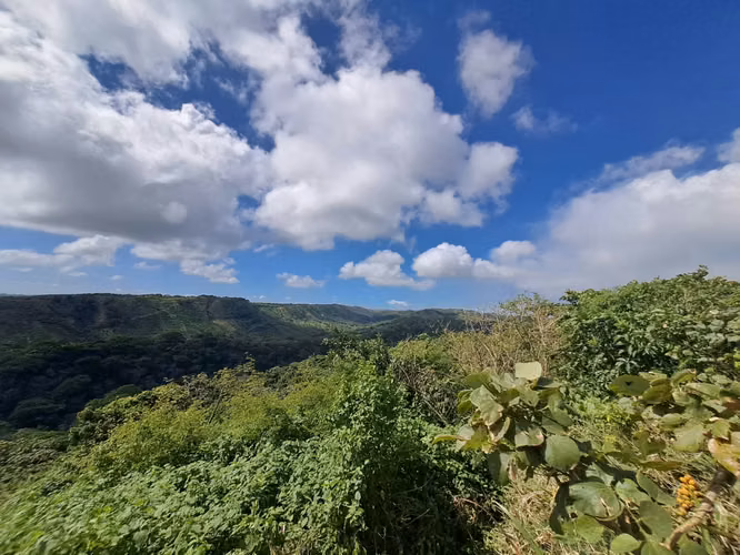 VENTA FINCA, RESERVA PRIVADA LA CONCEPCIÓN MASAYA