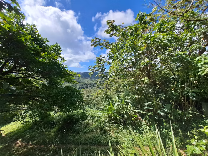 VENTA FINCA, RESERVA PRIVADA LA CONCEPCIÓN MASAYA