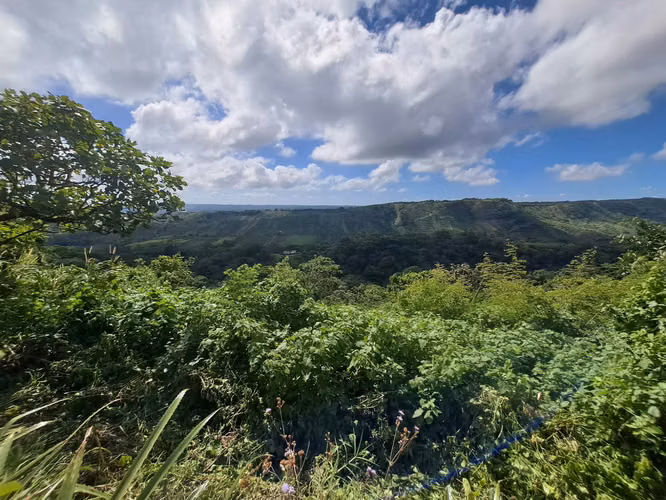 VENTA FINCA, RESERVA PRIVADA LA CONCEPCIÓN MASAYA