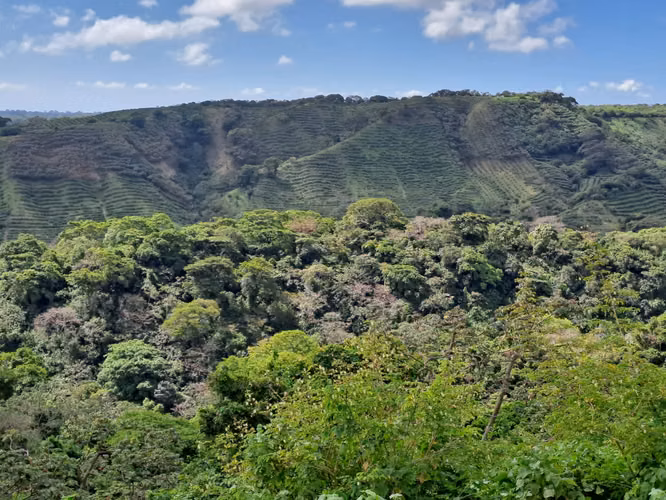 VENTA FINCA, RESERVA PRIVADA LA CONCEPCIÓN MASAYA