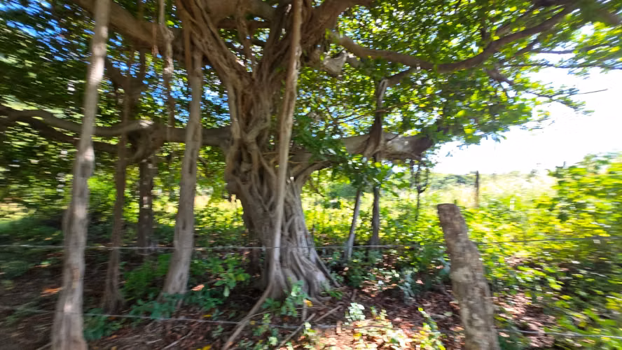 TERRENO EN PLAYA POPOYO
