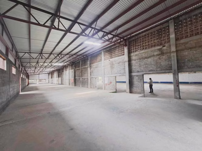 1,650 Mtr2 de Bodega almacenamiento pista Carretera Norte - Imagen 7