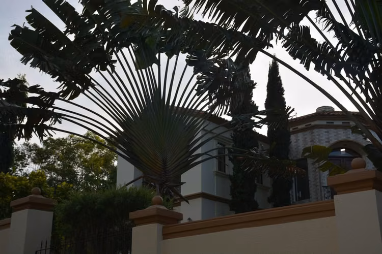 Residencia de Lujo en Carretera Sur |Piscina, Terrazas y Espacios Amplios |Precio U$570,000 dólares - Imagen 15