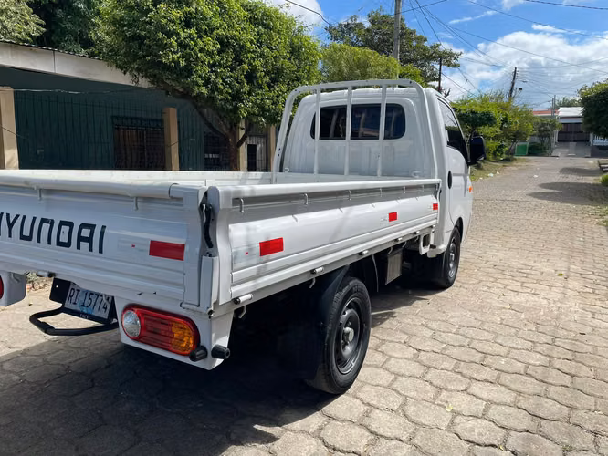 Camion H-100