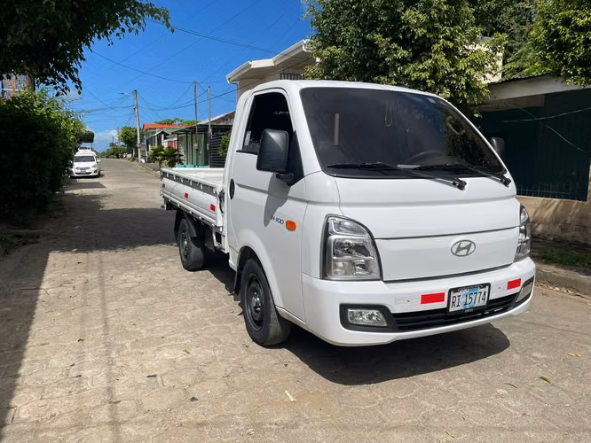 Camion H-100