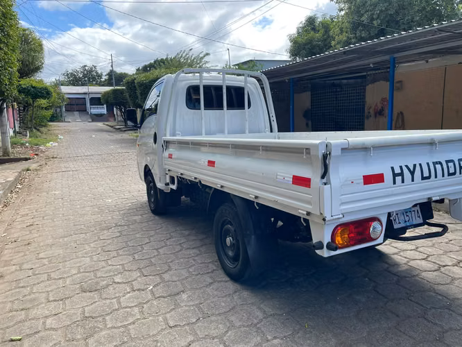 Camion H-100
