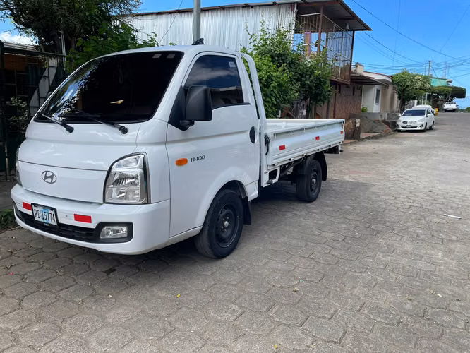 Camion H-100