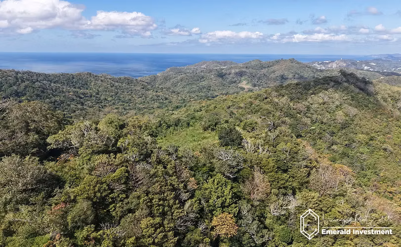 8.62 Acre Land for Sale Near Playa El Remanso | Finca San Rafael del Valle